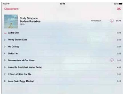 APPLE IPAD AIR 16 GO WIFI GRIS - Parcourir et dire - 3