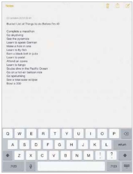 APPLE IPAD AIR 16 GO WIFI GRIS - Saisir du texte - 1