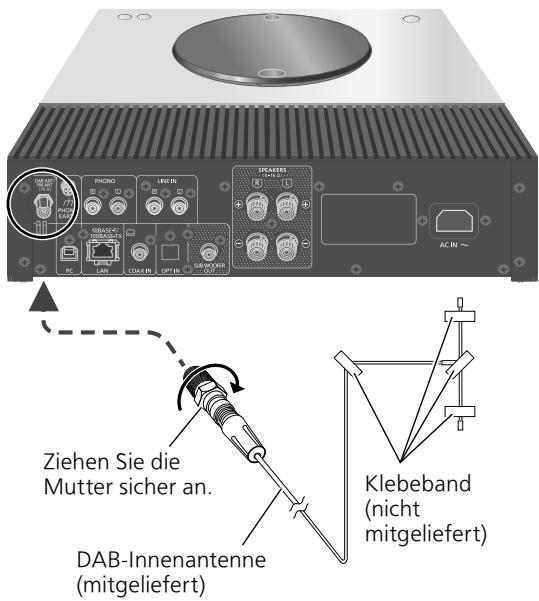 DARRYTECHNICS AMPLIFICATEURSTEREOSA-Cé600EG-K - Antennenanschluss - 1