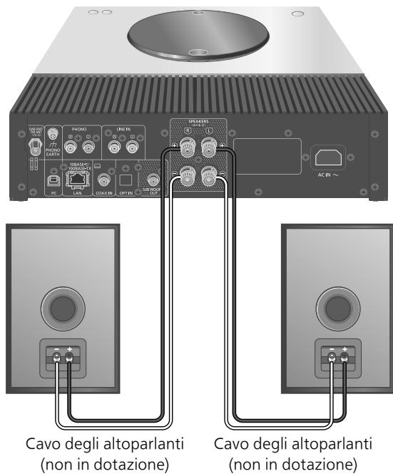 DARRYTECHNICS AMPLIFICATEURSTEREOSA-Cé600EG-K - Collegamento altoparlanti - 1