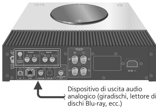 DARRYTECHNICS AMPLIFICATEURSTEREOSA-Cé600EG-K - Collegamento del dispositivo di uscita audio analogico - 1