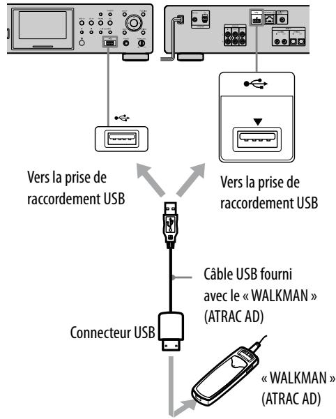 SONY NAC-HD1E - Conseil - 1