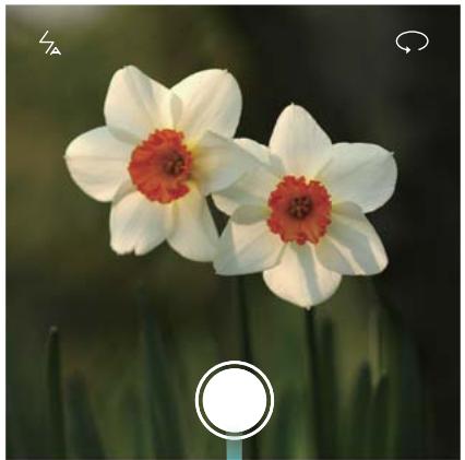 HUAWEI NOVA OR - Lancer l'appareil photo depuis la galerie - 1