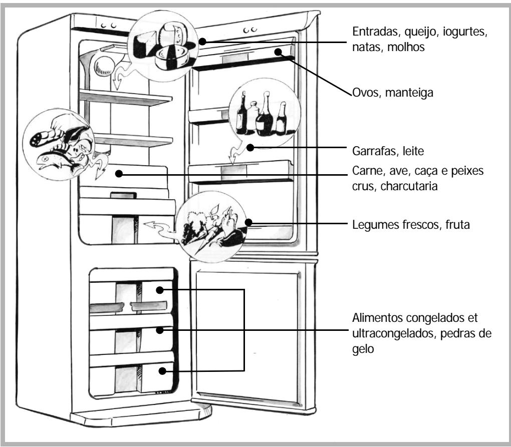 BRANDT C3320 - Arrumação dos alimentos no seu frigorífico - 2