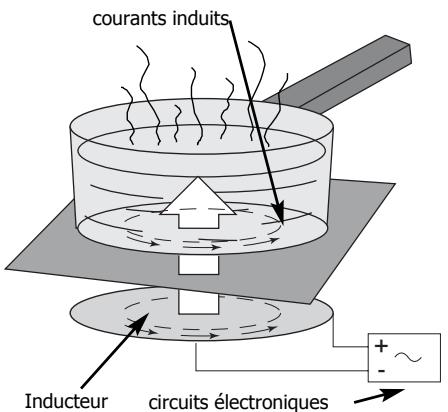 SAUTER 2149963 - Principe de l'induction - 1