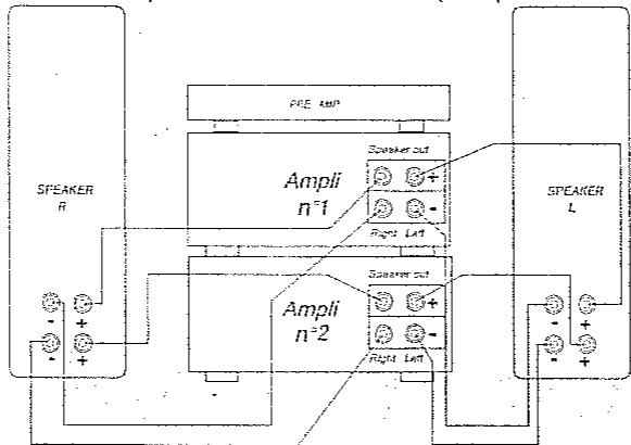 TRIANGLE LINA 202 - Le bicablage et la bi-amplification - 1
