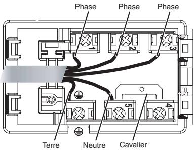SCHOLTES TRP 632 TDL NOIR - Autres types de branchement - 1