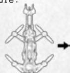 PROPEL STARWARS 74Z SPEED BiKE - CONTRÖLE DU VOL - 17