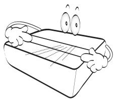 BENQ V6050 - Consignes de sécurité importantes - 4