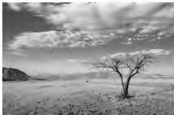 HUAWEI P9 PLUS GREY - Mode time-lapse - 1