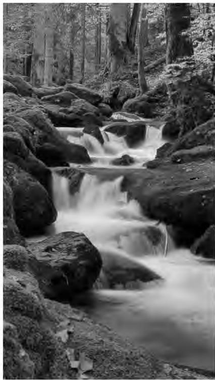 HUAWEI P9 PLUS GREY - Eau soyeuse - 1