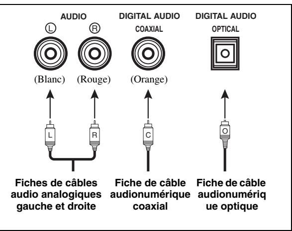 YAMAHA AV 3101 B - Prises audio et fiches des câbles - 1
