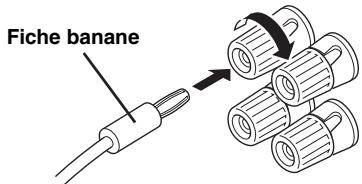 YAMAHA AV 3101 B - Raccordement de la fiche banane (sauf les modèles pour l'Europe, la Corée et l'Asie) - 1