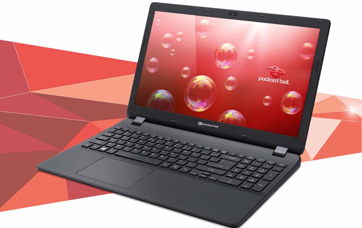 PACKARD BELL ENTG71BM-C6NH - Manuel d'utilisation - 1