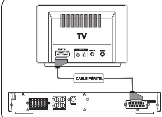 THOMSON DPL917VD - Branchement de la TV - 1