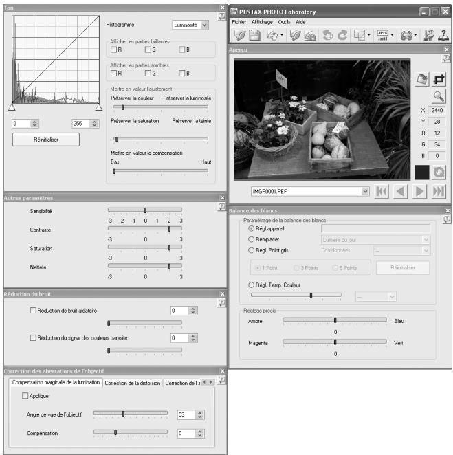 PENTAX Browser_3 - Sélectionnez [Traitement personnelisé] dans le menu [Affichage] ou cliquez sur le bouton de l'icone de la barre d'outils, puis sur (Traitement personnelisé) dans la liste déroulante. - 1