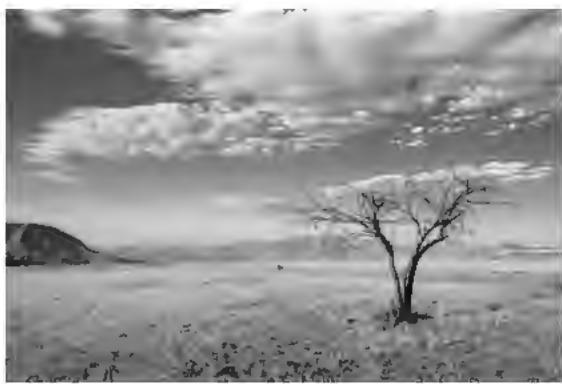 HUAWEI P9 Lite Gold - Mode time-lapse - 1