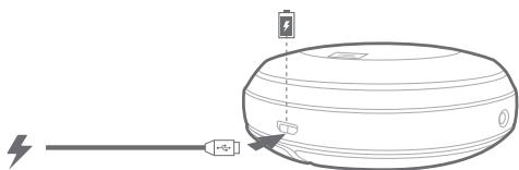 IBREFERENCE CLIP + NOIR - 4