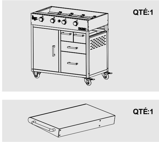 BRASERO OL 6263 PLANCHA NOIR - LIST DES PIECES - 1