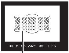 NIKON D5 - Autofocus - 2
