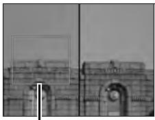 NIKON D5 - Agrandissement écran partagé - 3