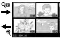 NIKON D5 - Visualisation des images - 2