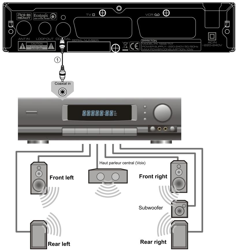 PEEKTON PK 1656 TNT - Raccordement à un ampli 5.1 - 1