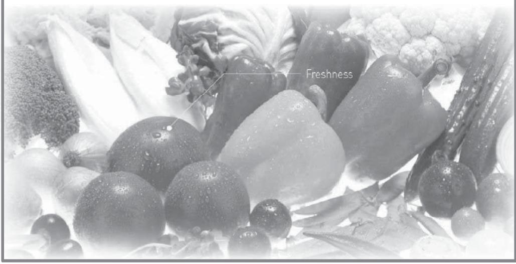 DARRY WINIAREFRIGERATEUR-CONGELATEURWRD-H270WB - EcoLogic - 1