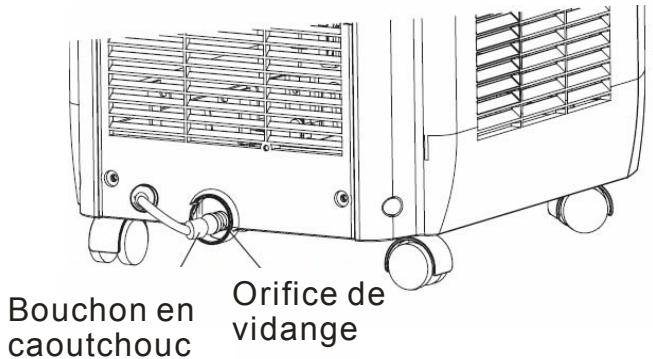 PROLINE GR607 - Raccorder le tuyau de vidange fourni sur l'orifice de vidange : - 1