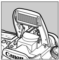 CANON EOS 208 - Photographie au flash - 1