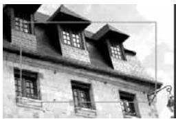 CANON EOS 208 - Rotation du cadre - 1