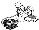 CANON EOS 208 - A propos du DPOF - 2
