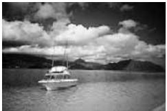 CANON EOS 208 - Paysage - 1