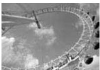 CANON EOS 208 - Sélectionnéz l'image. - 3