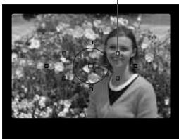 CANON EOS 208 - Utilisation du mode Automatism total - 2