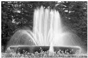 CANON EOS 208 - Tv Priorité vitesse - 2