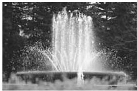 CANON EOS 208 - Tv Priorité vitesse - 1