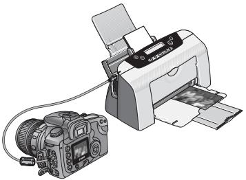 CANON EOS 208 - Affichage du message « Err CF » - 1