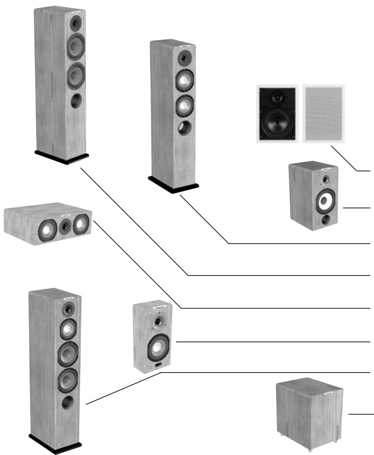 CABASSE CAISSON ORION MT3 - Anschliessen des aktiven Subwooferers - 1