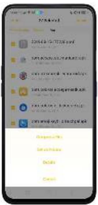 OPPO REN0_10X - Classification de fichiers - 6