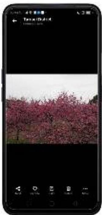 OPPO REN0_10X - Affichage, zoom avant et arrêté - 3