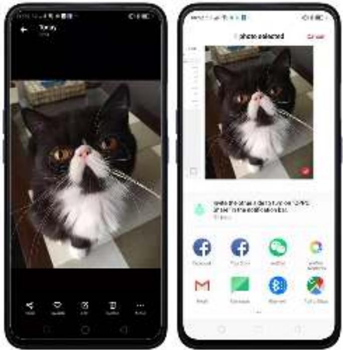 OPPO REN0_10X - Partager depuis les applications - 1