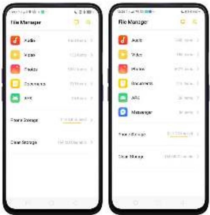 OPPO REN0_10X - Classification de fichiers - 1