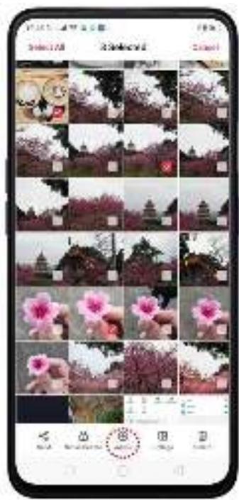 OPPO REN0_10X - Albums - 6