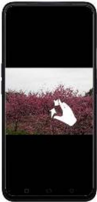 OPPO REN0_10X - Affichage, zoom avant et arrêté - 5