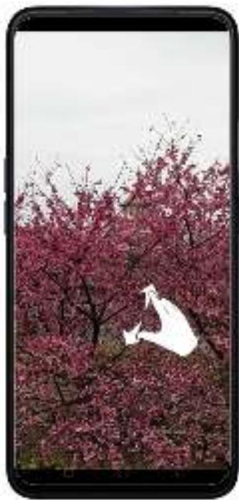 OPPO REN0_10X - Affichage, zoom avant et arrêté - 4
