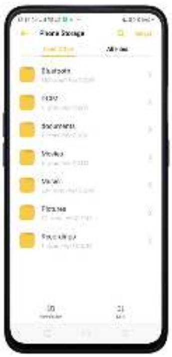 OPPO REN0_10X - Classification de fichiers - 2