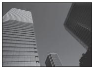 OLYMPUS SP-100E - Compensation d'exposition (P/ART/11111111) - 1