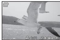 OLYMPUS SP-100E - Appuyez sur la touche (video) pour commencer l'enregistrement. - 3