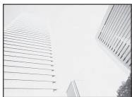 OLYMPUS SP-100E - Compensation d'exposition (P/ART/11111111) - 3